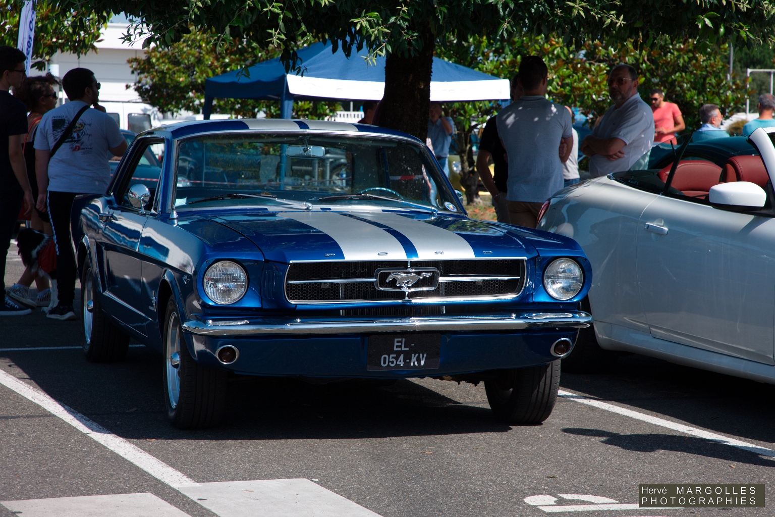 Ford Mustang-02.jpg